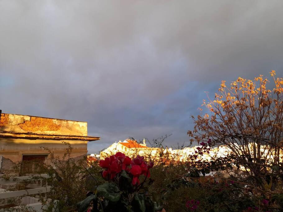 Villa At The Foot Of Acropolis. Atenas Exterior foto