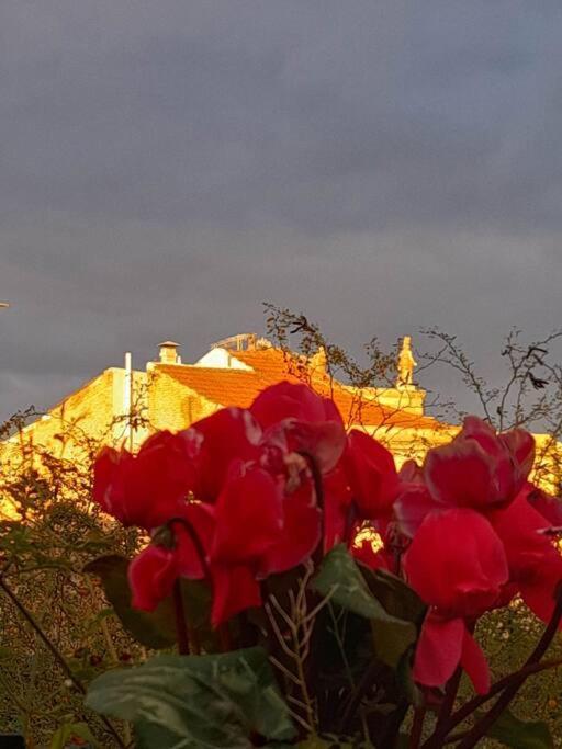 Villa At The Foot Of Acropolis. Atenas Exterior foto